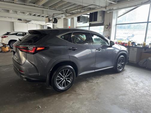 2023 Lexus NX 350 Premium