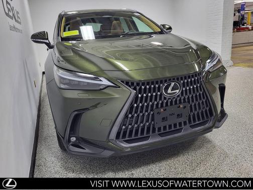 Nori Green Pearl 2023 Lexus NX 350 Luxury