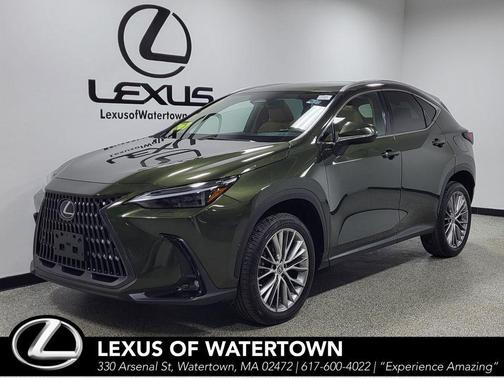 Nori Green Pearl 2023 Lexus NX 350 Luxury
