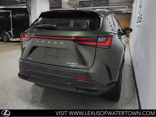 Nori Green Pearl 2023 Lexus NX 350 Luxury
