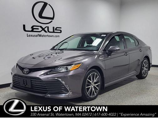 Predawn Gray Mica 2023 Toyota Camry XLE