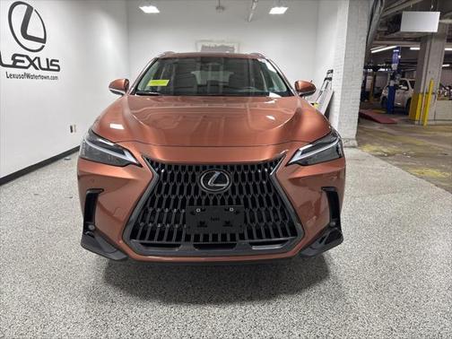 2025 Lexus NX 350 350