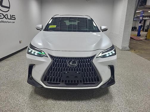 2024 Lexus NX 350 Luxury