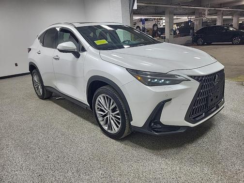 2024 Lexus NX 350 Luxury