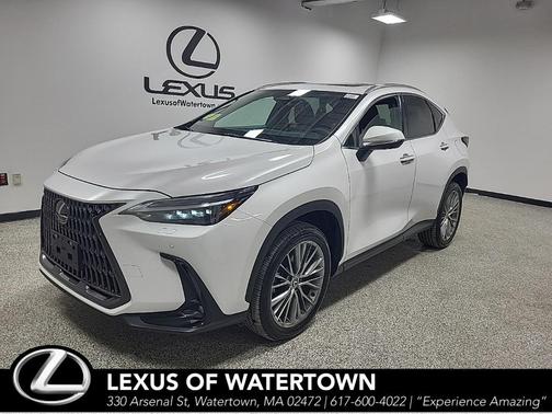 2024 Lexus NX 350 Luxury