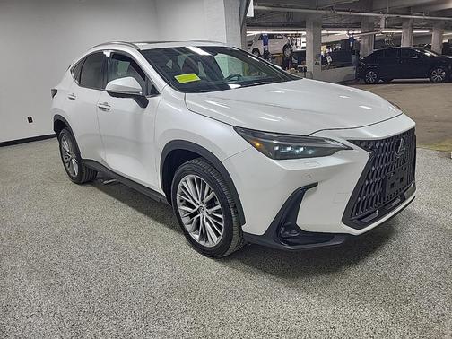 2024 Lexus NX 350 Luxury