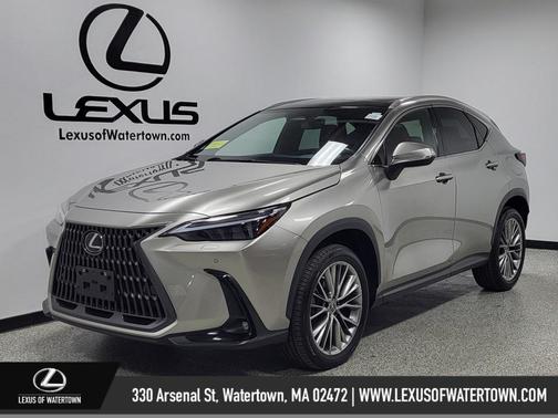 2022 Lexus NX 350 Luxury