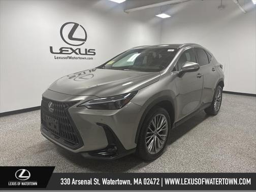 2023 Lexus NX 350 Luxury