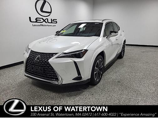 2025 Lexus UX 300h Premium