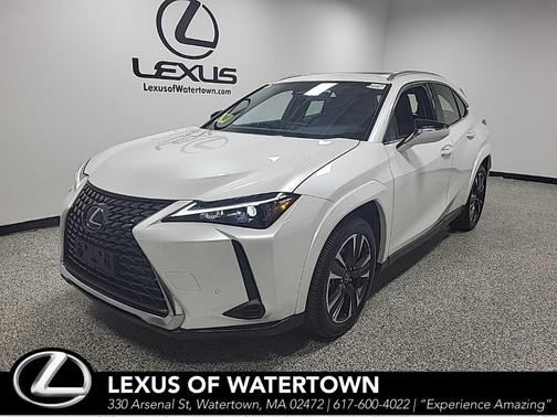2025 Lexus UX 300h Premium