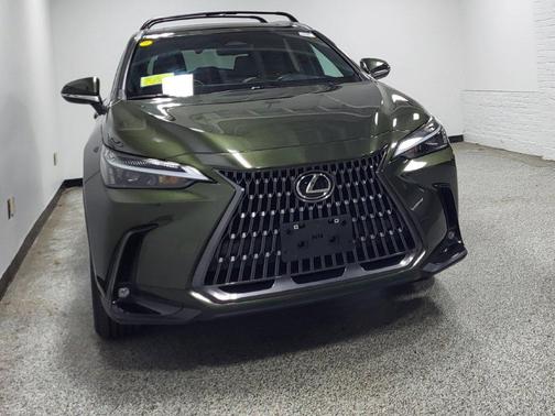 Nori Green Pearl 2024 Lexus NX 350h Premium