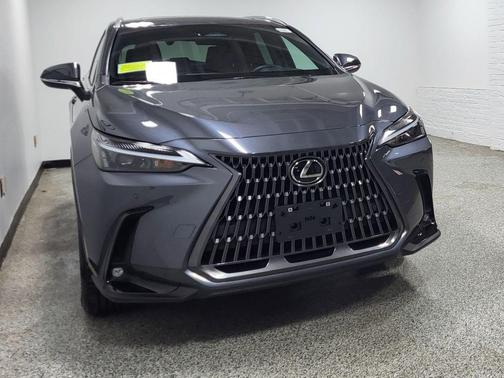 Cloudburst Gray 2024 Lexus NX 350 Premium