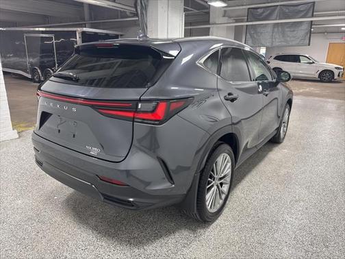 2024 Lexus NX 350 Luxury