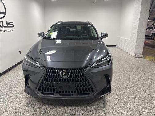 2024 Lexus NX 350 Luxury