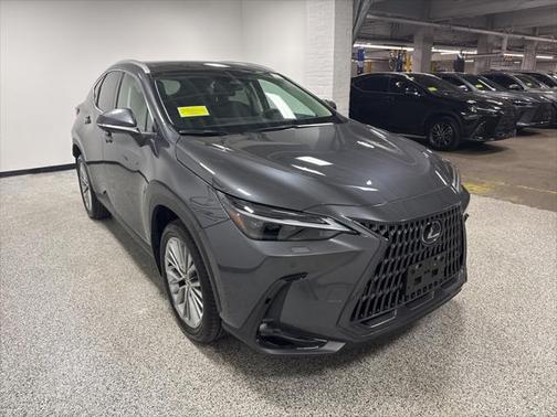 2024 Lexus NX 350 Luxury