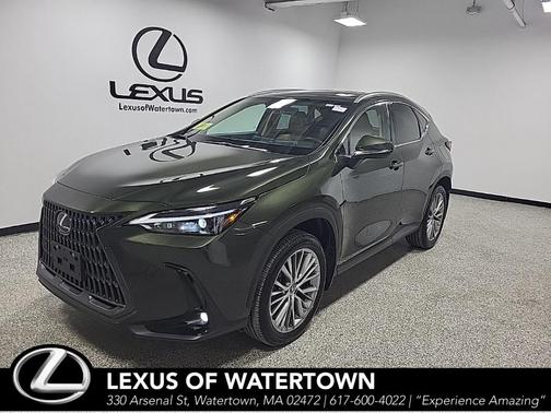 2025 Lexus NX 350h Premium