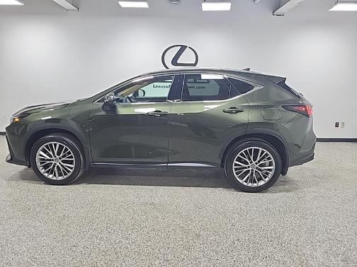 2025 Lexus NX 350h Premium