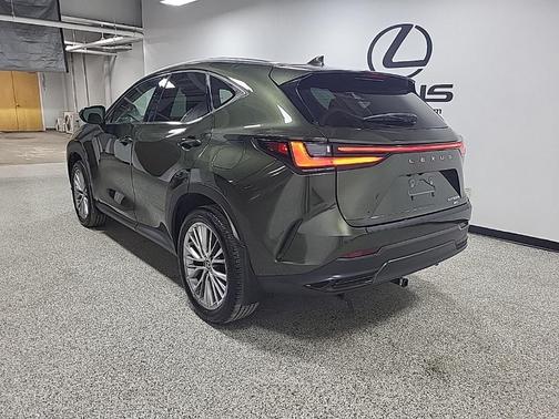 2025 Lexus NX 350h Premium