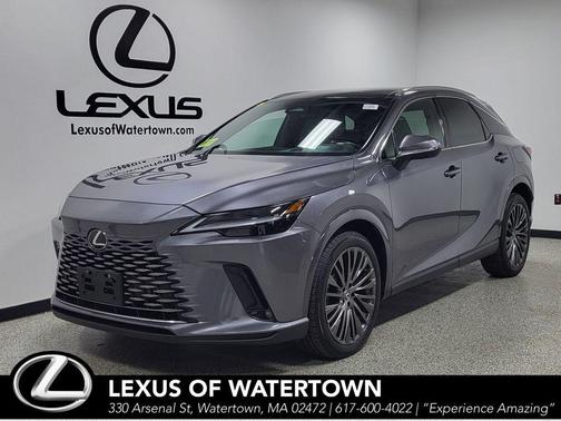 Nebula Gray Pearl 2023 Lexus RX 350 Luxury