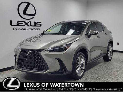 Atomic Silver 2024 Lexus NX 350 Luxury