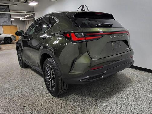 Nori Green Pearl 2024 Lexus NX 350h AWD