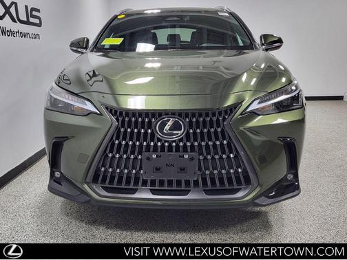 Nori Green Pearl 2024 Lexus NX 350h AWD