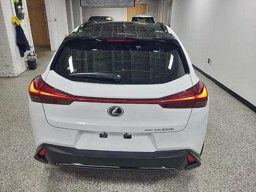 2024 Lexus UX 250h F Sport