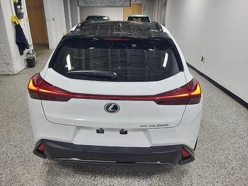 2024 Lexus UX 250h F Sport