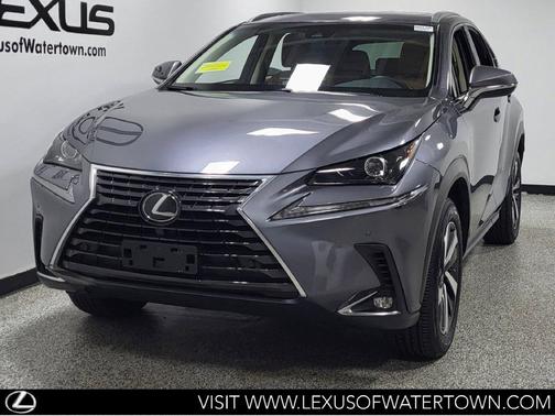 Nebula Gray Pearl 2019 Lexus NX 300 Base