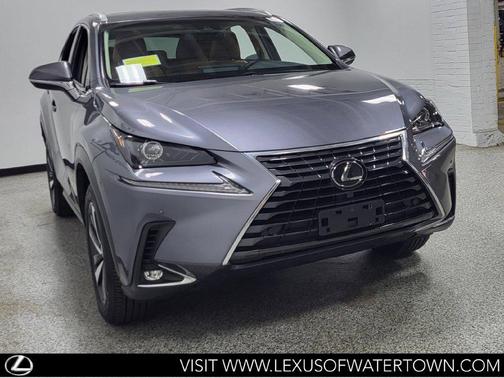 Nebula Gray Pearl 2019 Lexus NX 300 Base
