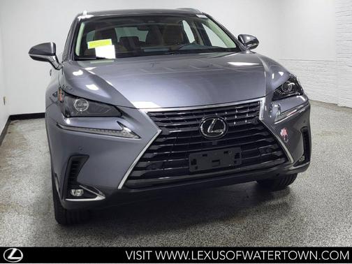 Nebula Gray Pearl 2019 Lexus NX 300 Base