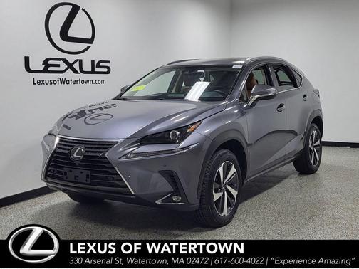 Nebula Gray Pearl 2019 Lexus NX 300 Base