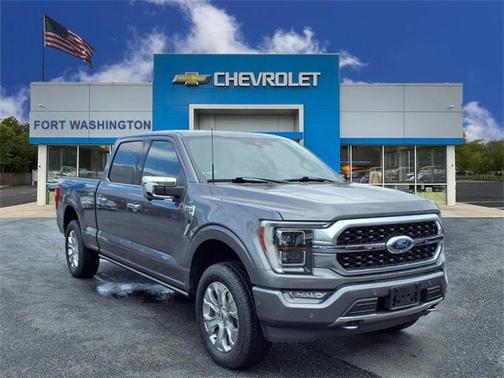 2021 Ford F-150 Platinum
