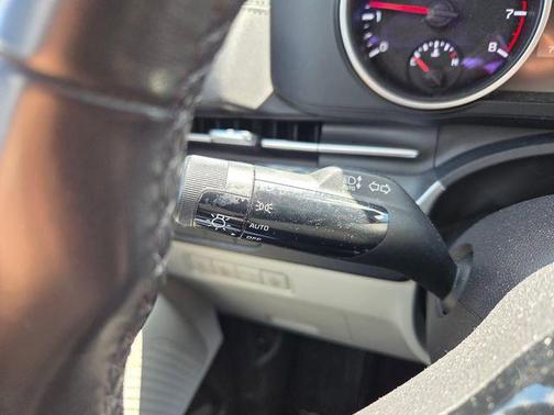 Panthera Metal 2024 Kia Carnival LX