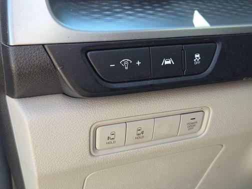 Panthera Metal 2024 Kia Carnival LX