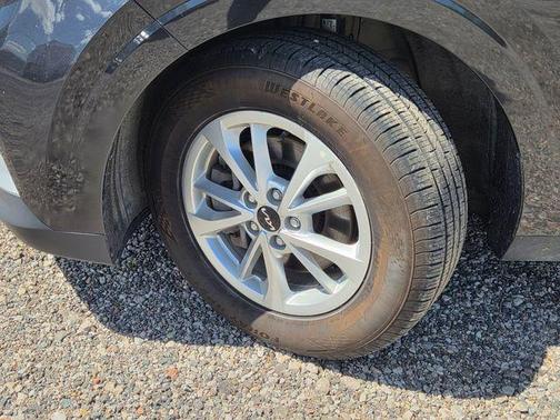 Panthera Metal 2024 Kia Carnival LX