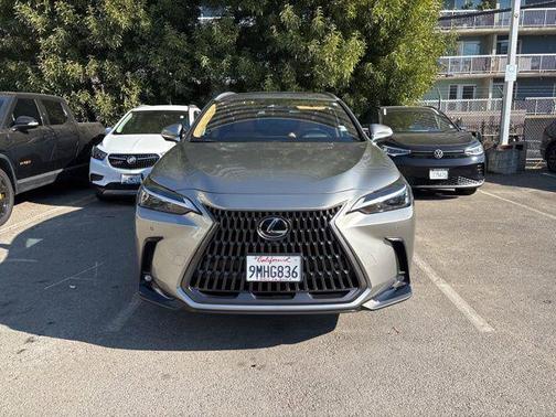 2025 Lexus NX 350h Premium