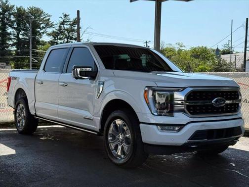 2021 Ford F-150 Platinum