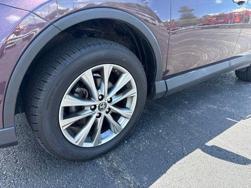 Black Currant 2017 Toyota RAV4 Limited
