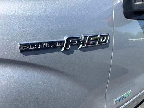 Ingot Silver Metallic 2013 Ford F-150 Platinum