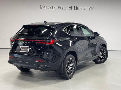 Caviar 2024 Lexus NX 350 Premium