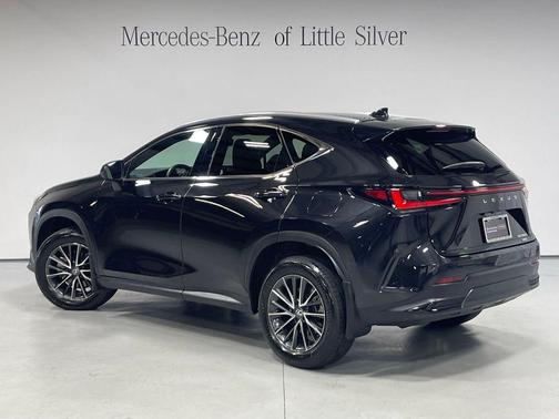 Caviar 2024 Lexus NX 350 Premium
