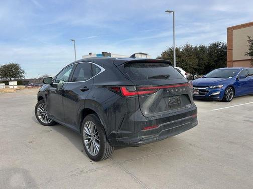 2023 Lexus NX 350h Luxury