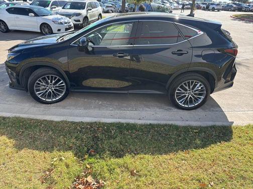 2024 Lexus NX 350h Luxury