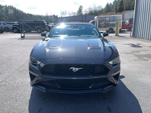 2022 Ford Mustang 