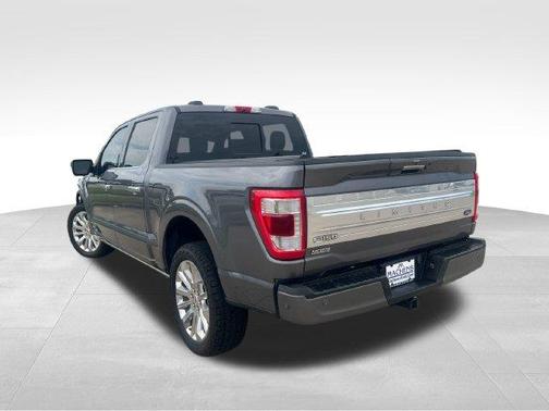 Gray Metallic 2021 Ford F-150 Limited