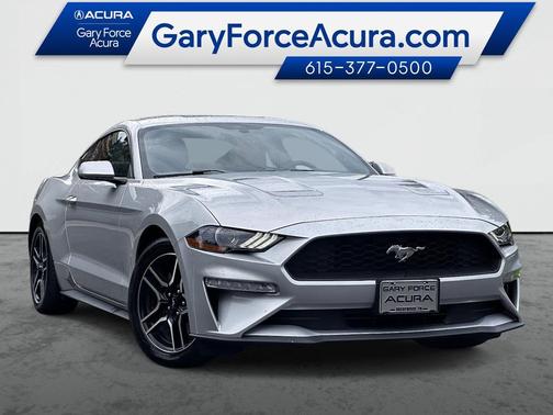 Magnetic Metallic [Gray] 2019 Ford Mustang EcoBoost