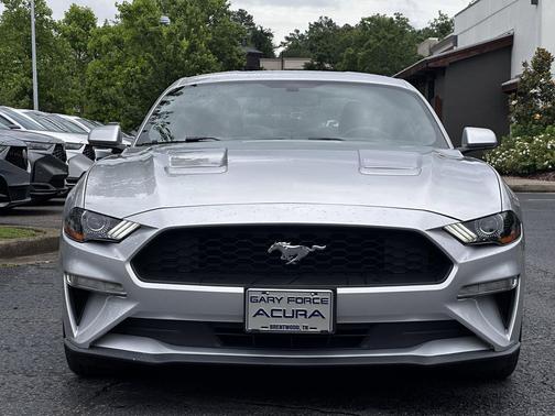 Magnetic Metallic [Gray] 2019 Ford Mustang EcoBoost