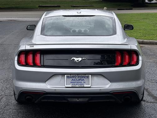 Magnetic Metallic [Gray] 2019 Ford Mustang EcoBoost
