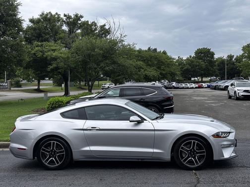 Magnetic Metallic [Gray] 2019 Ford Mustang EcoBoost